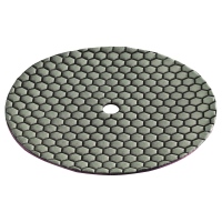 419-060 - DP 30 DRY D225 Diamantschleifpad