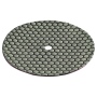 419-060 - DP 30 DRY D225 Diamantschleifpad