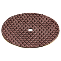419-095 - DP 100 DRY D225 Diamantschleifpad