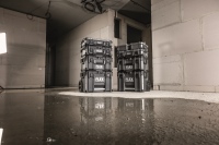 531-461 - Aktion STACK PACK TK-L SP SET-1