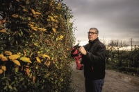 531-275 - GHT 55 18-EC Akku-Heckenschere