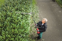 532-888 - GHT-A Heckenschere